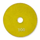 Polishing Pad Convex 100mm