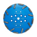 Diamond Grinding Plate 16seg 250mm