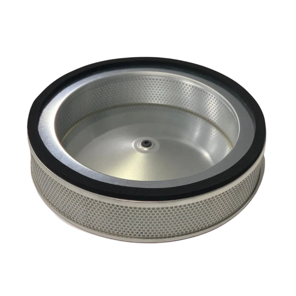 HEPA Absolute Filter DM3