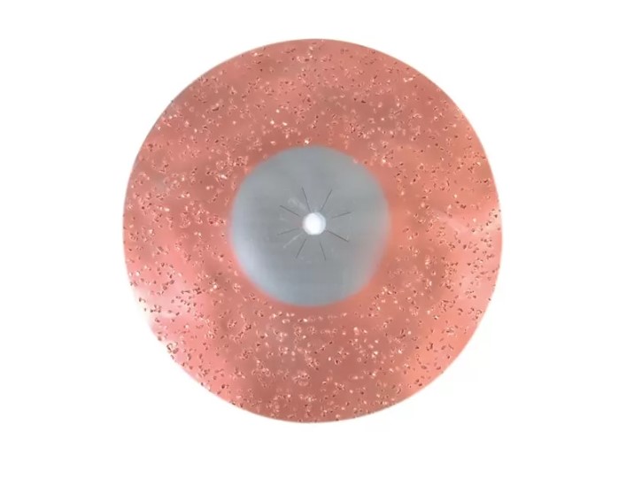 [315345C] Tungsten sanding disc 17" (G16)