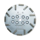 Diamond Grinding Plate 16seg 250mm