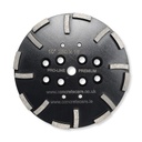 Diamond Grinding Plate 16seg 250mm