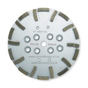 Diamond Grinding Plate 20seg 250mm