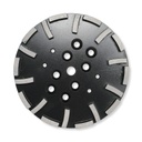 Diamond Grinding Plate 20seg 250mm